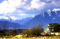 richmond realty